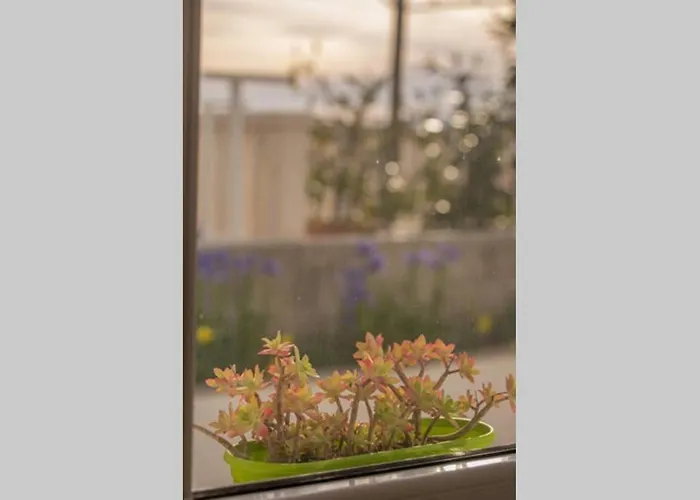 Queen Hvar * Hvar Town