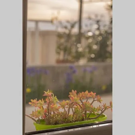 Queen Hvar * Hvar Town